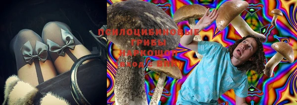 шишки Волоколамск