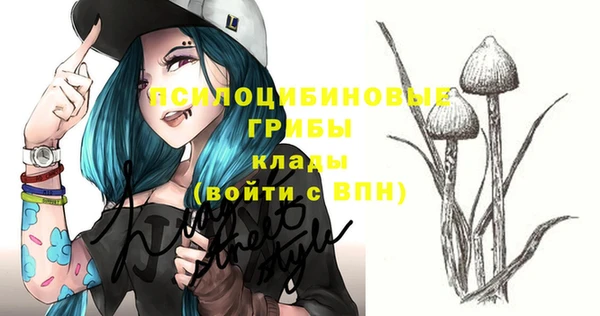 шишки Волоколамск